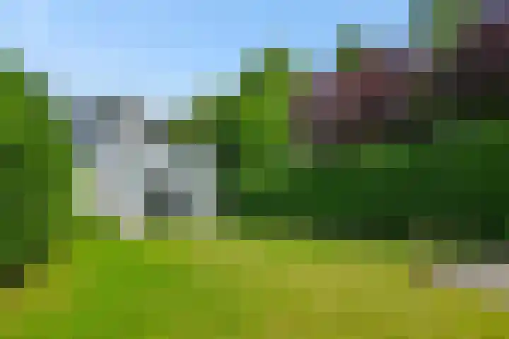 De Bolderik 10 's-Hertogenbosch thumbnail 25