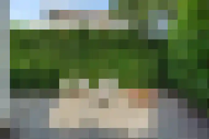 De Bolderik 10 's-Hertogenbosch thumbnail 27
