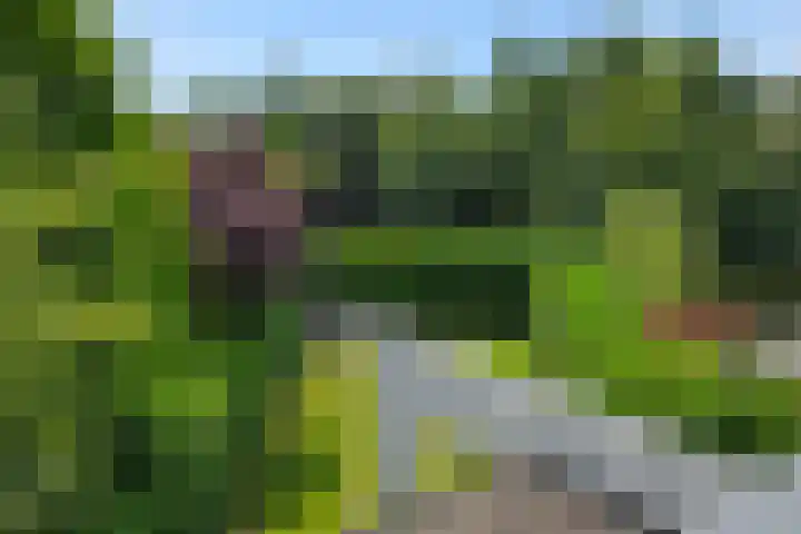 De Bolderik 10 's-Hertogenbosch thumbnail 42