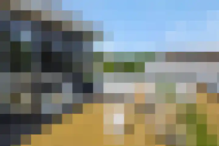 De Bolderik 10 's-Hertogenbosch thumbnail 46