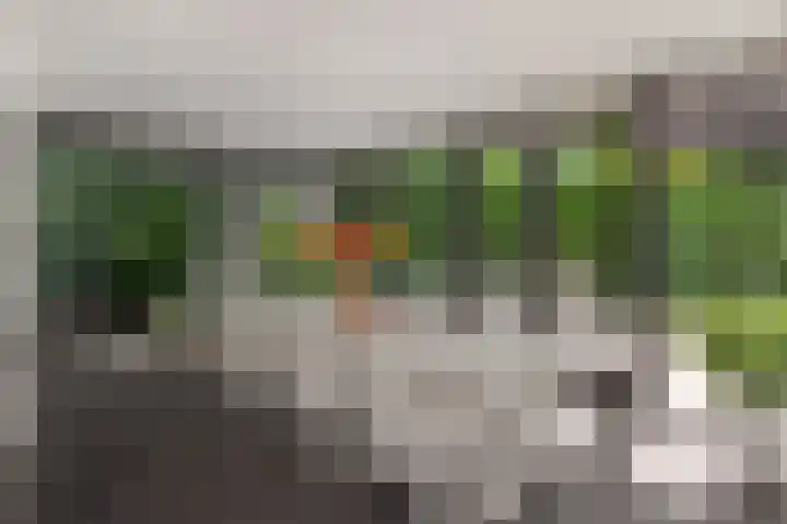 De Bolderik 10 's-Hertogenbosch thumbnail 5