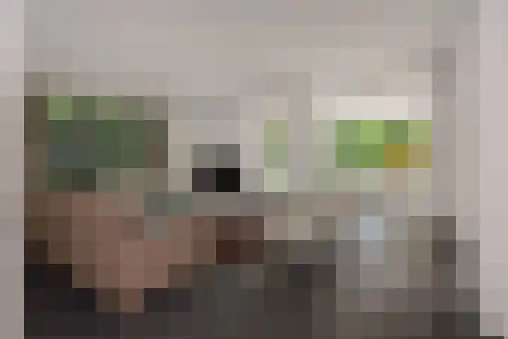 De Bolderik 10 's-Hertogenbosch thumbnail 6