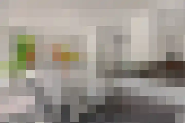De Bolderik 10 's-Hertogenbosch thumbnail 8