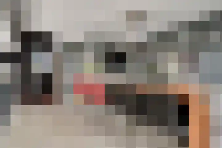 De Bolderik 4 's-Hertogenbosch thumbnail 15