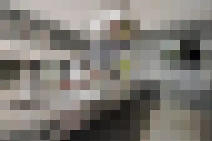 De Bolderik 4 's-Hertogenbosch thumbnail 17