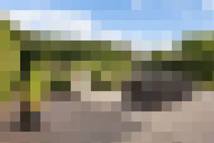 De Bolderik 4 's-Hertogenbosch thumbnail 21