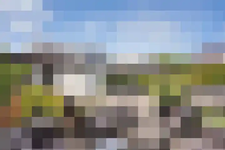 De Bolderik 4 's-Hertogenbosch thumbnail 25