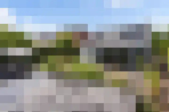 De Bolderik 4 's-Hertogenbosch thumbnail 26
