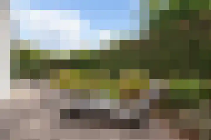 De Bolderik 4 's-Hertogenbosch thumbnail 28
