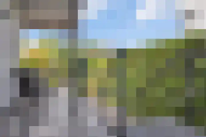 De Bolderik 4 's-Hertogenbosch thumbnail 29