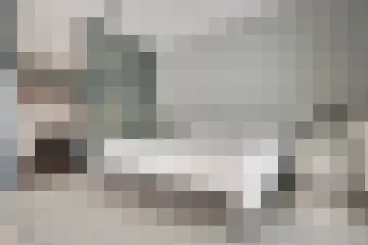 De Bolderik 4 's-Hertogenbosch thumbnail 37