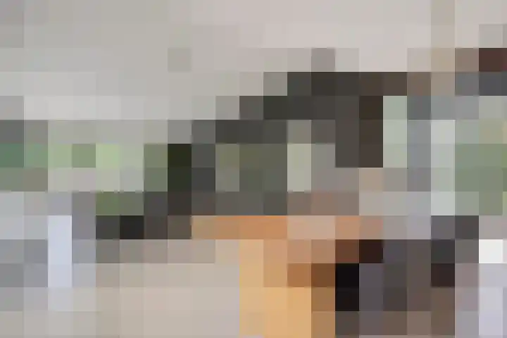 De Bolderik 4 's-Hertogenbosch thumbnail 8