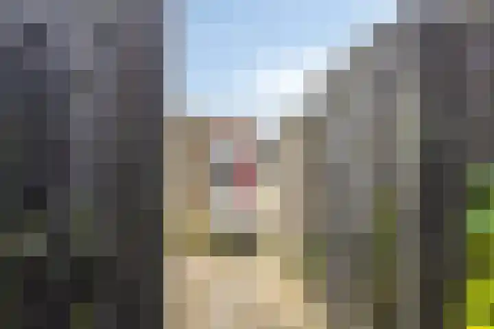 De Bolle 68 Hurdegaryp thumbnail 10