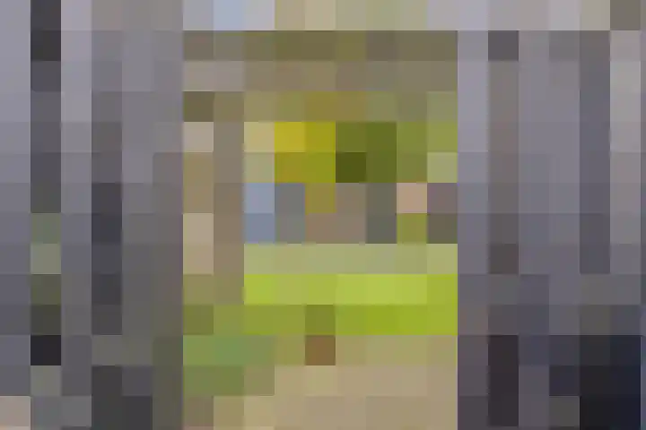 De Bolle 68 Hurdegaryp thumbnail 11