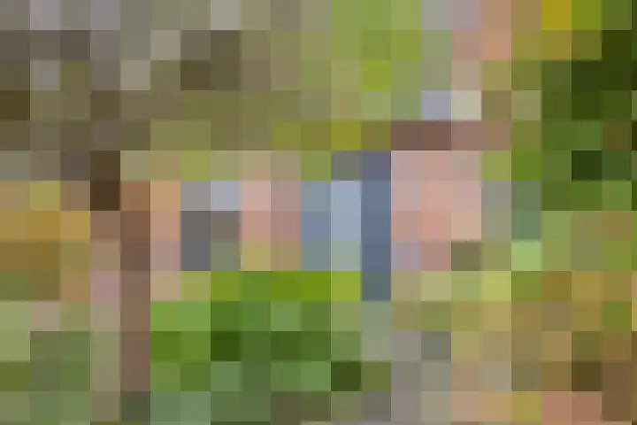 De Bolle 68 Hurdegaryp thumbnail 12