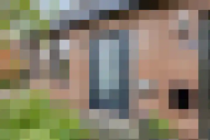 De Bolle 68 Hurdegaryp thumbnail 13