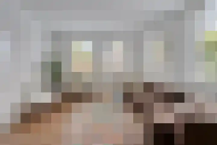 De Bolle 68 Hurdegaryp thumbnail 14