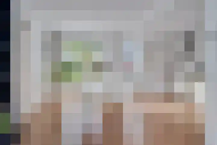 De Bolle 68 Hurdegaryp thumbnail 16