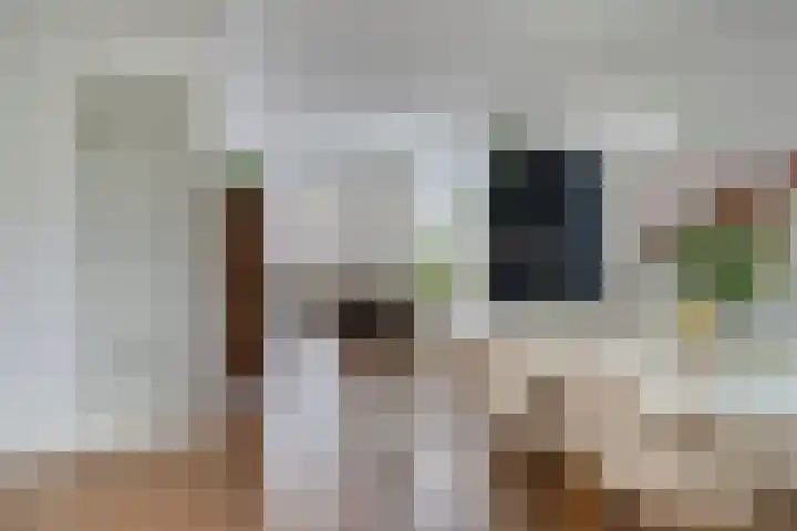De Bolle 68 Hurdegaryp thumbnail 17