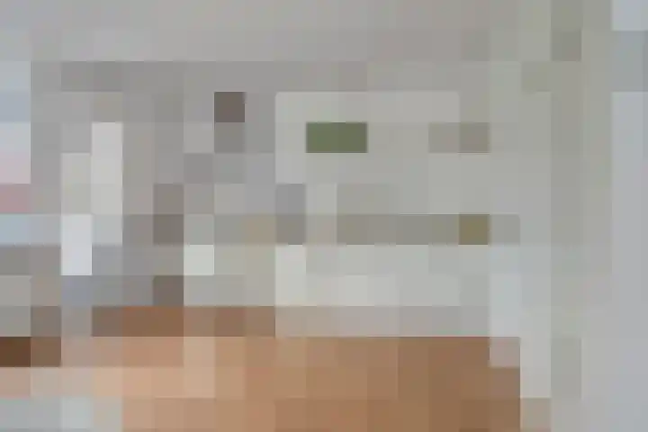 De Bolle 68 Hurdegaryp thumbnail 25