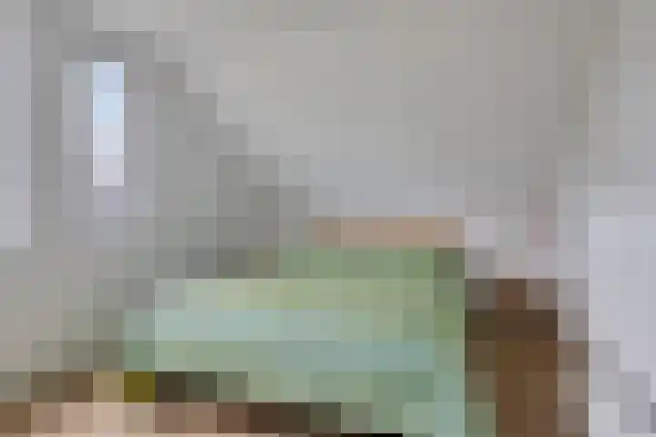 De Bolle 68 Hurdegaryp thumbnail 30