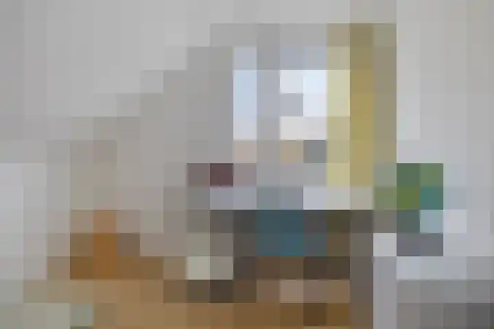 De Bolle 68 Hurdegaryp thumbnail 31