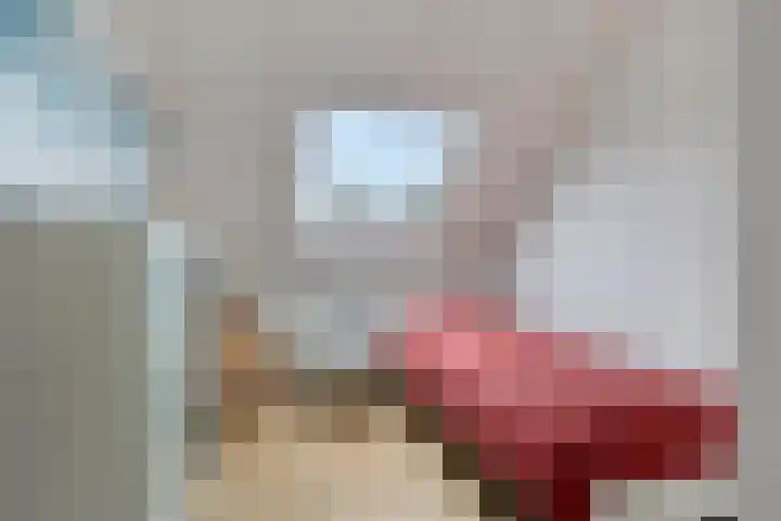De Bolle 68 Hurdegaryp thumbnail 32