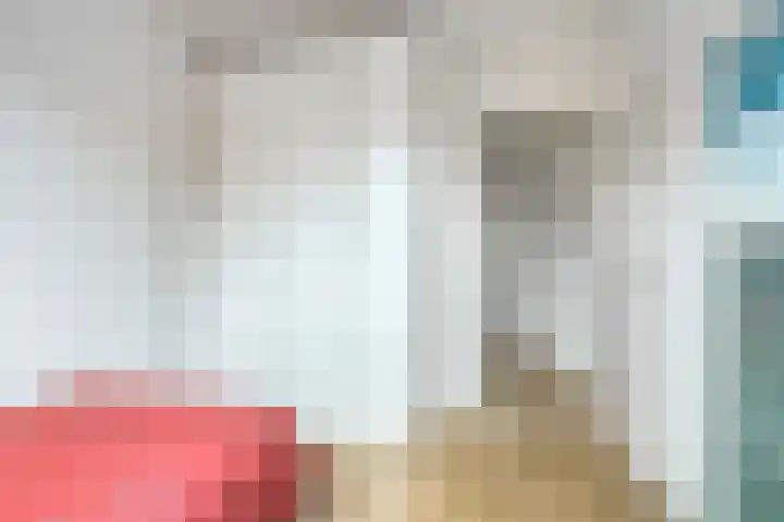 De Bolle 68 Hurdegaryp thumbnail 33