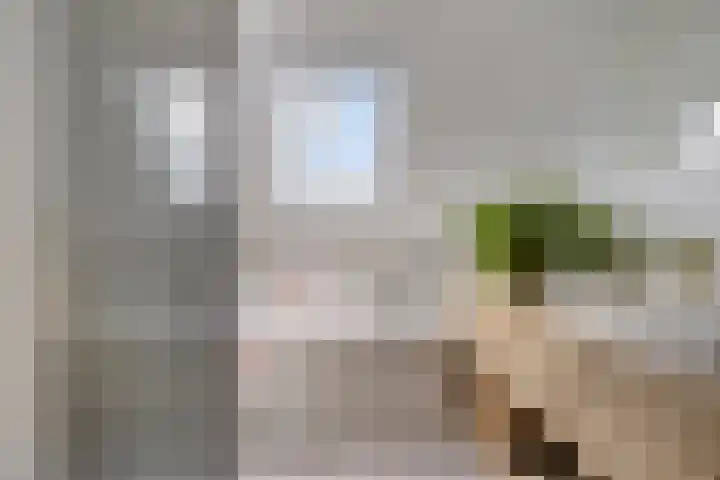 De Bolle 68 Hurdegaryp thumbnail 34