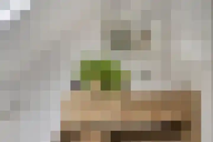 De Bolle 68 Hurdegaryp thumbnail 36