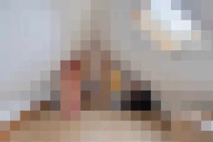 De Bolle 68 Hurdegaryp thumbnail 37