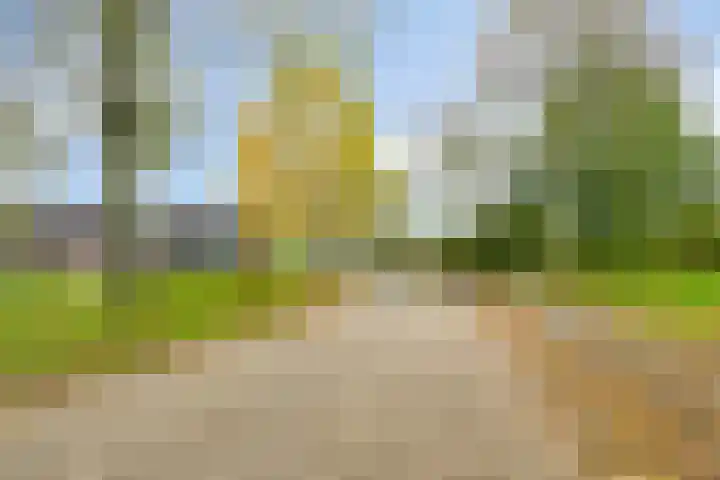 De Bolle 68 Hurdegaryp thumbnail 38