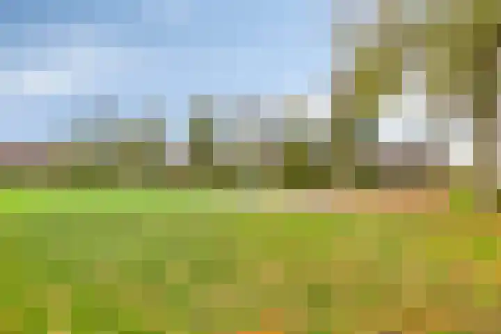 De Bolle 68 Hurdegaryp thumbnail 39