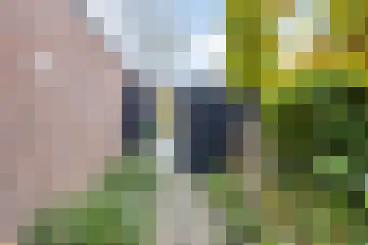 De Bolle 68 Hurdegaryp thumbnail 4