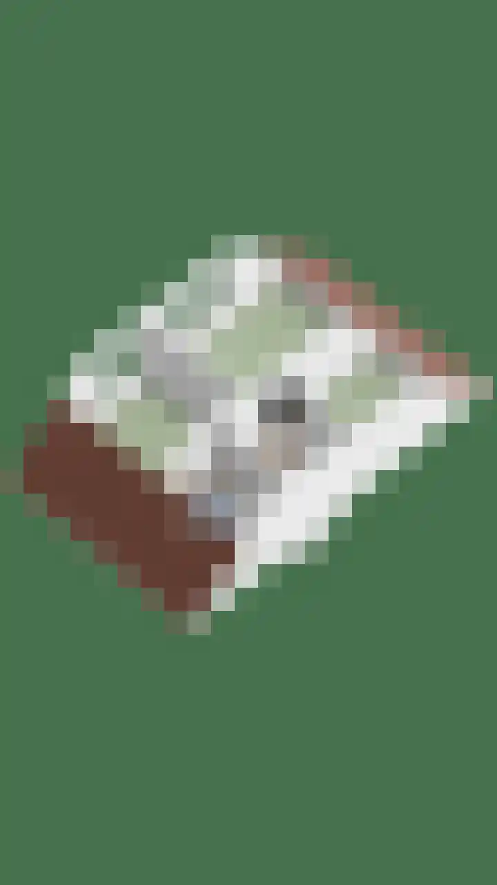 De Bolle 68 Hurdegaryp thumbnail 47