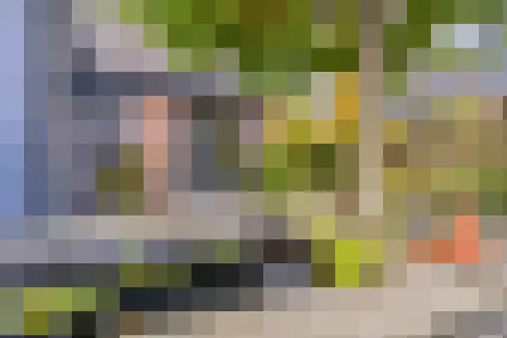 De Bolle 68 Hurdegaryp thumbnail 5