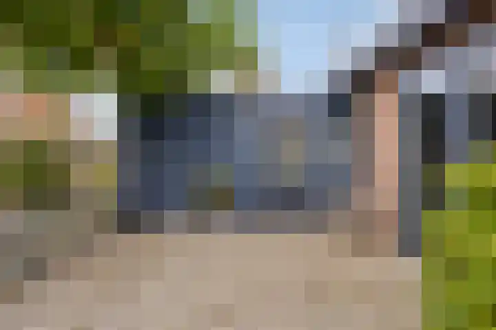 De Bolle 68 Hurdegaryp thumbnail 6