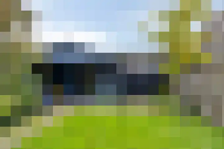 De Bolle 68 Hurdegaryp thumbnail 7