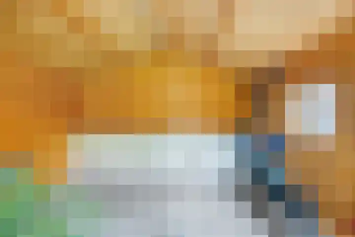 De Bolle 68 Hurdegaryp thumbnail 8