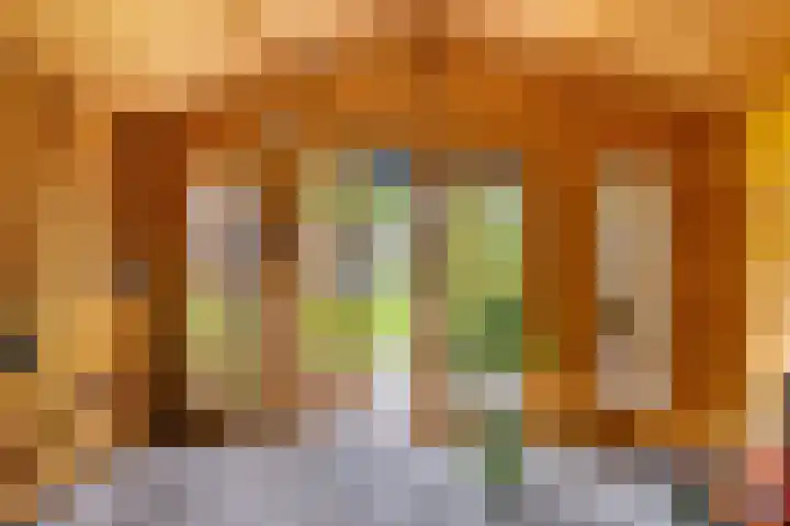 De Bolle 68 Hurdegaryp thumbnail 9