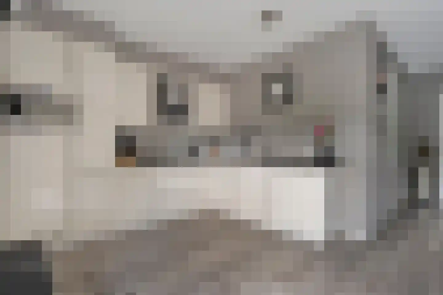 De Bolster 10 Hollandscheveld thumbnail 10
