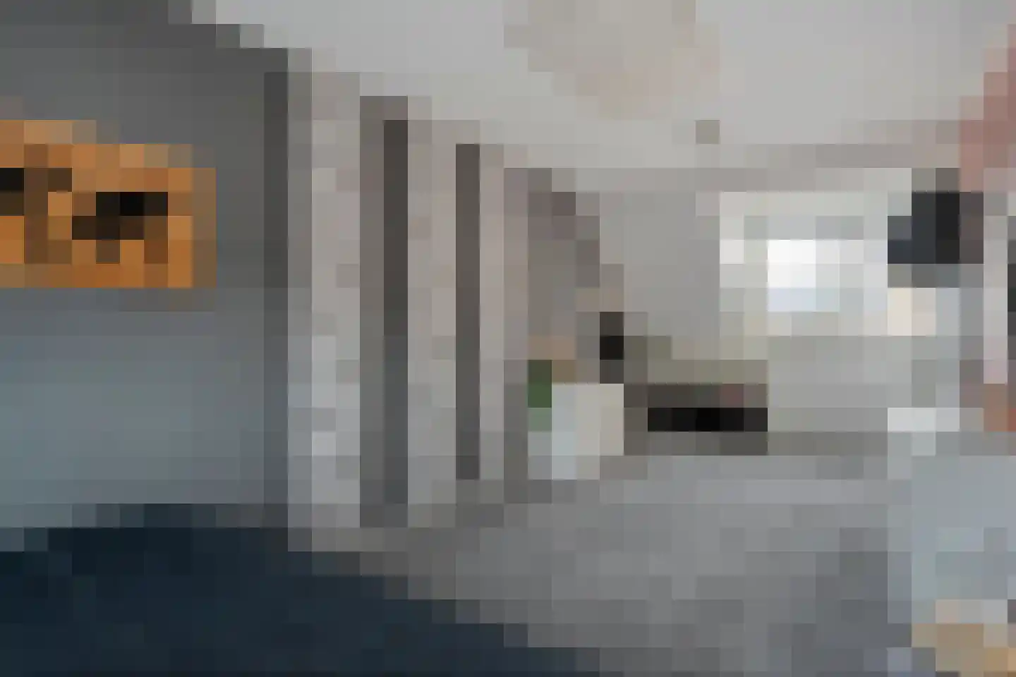 De Bolster 10 Hollandscheveld thumbnail 21