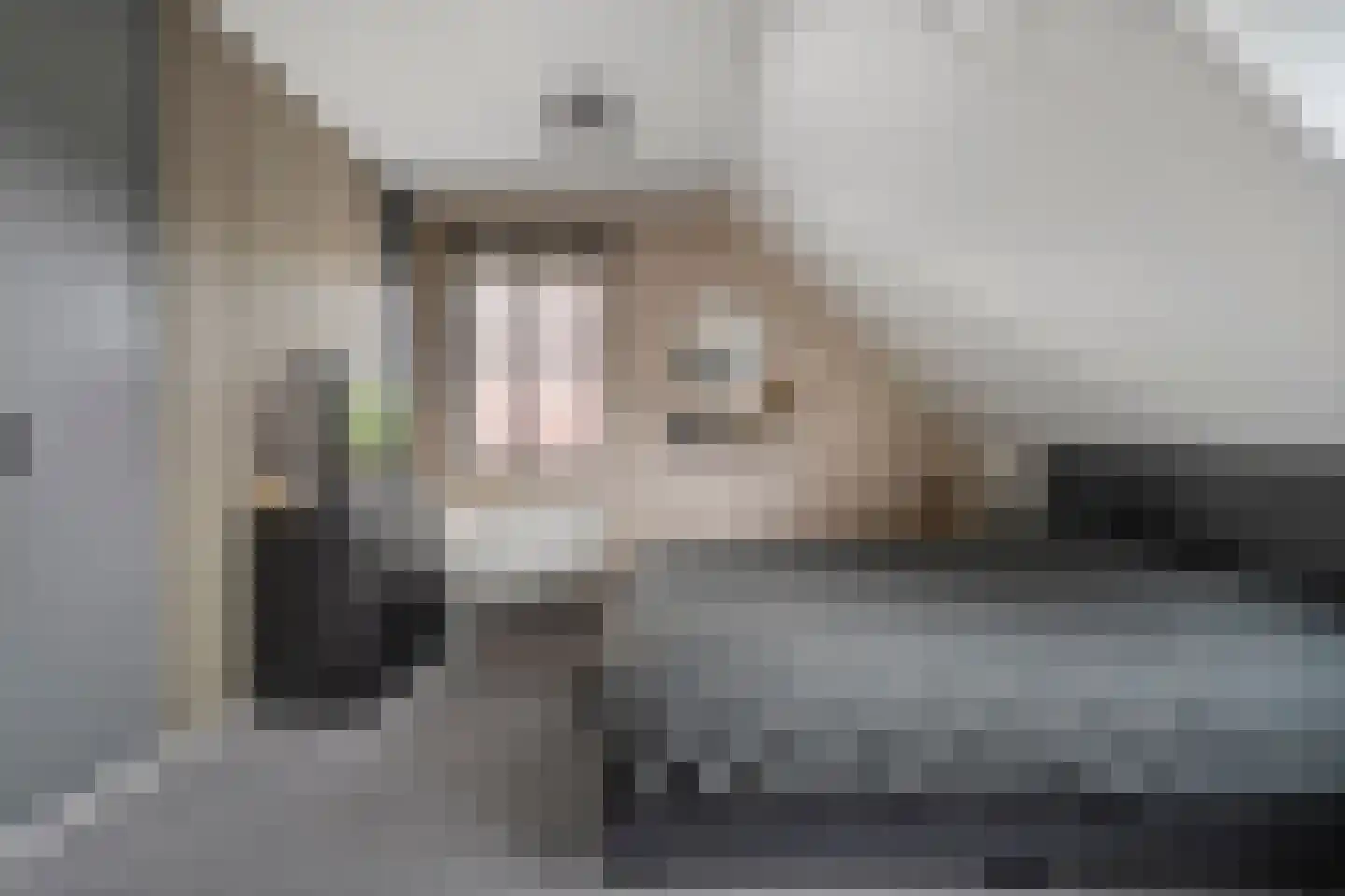 De Bolster 10 Hollandscheveld thumbnail 25