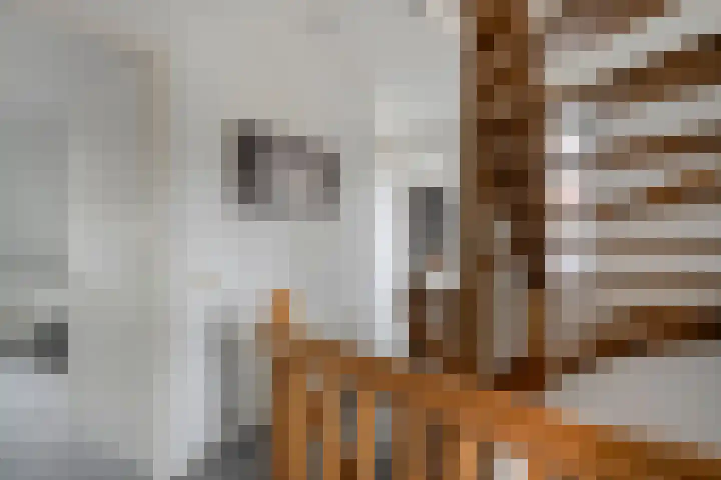 De Bolster 10 Hollandscheveld thumbnail 27