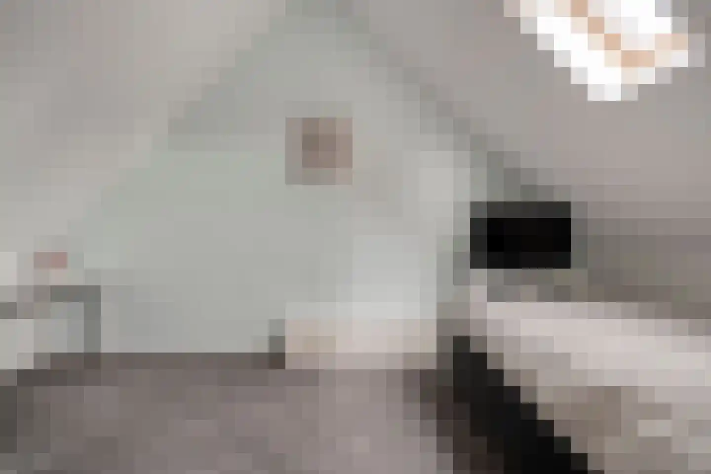 De Bolster 10 Hollandscheveld thumbnail 35