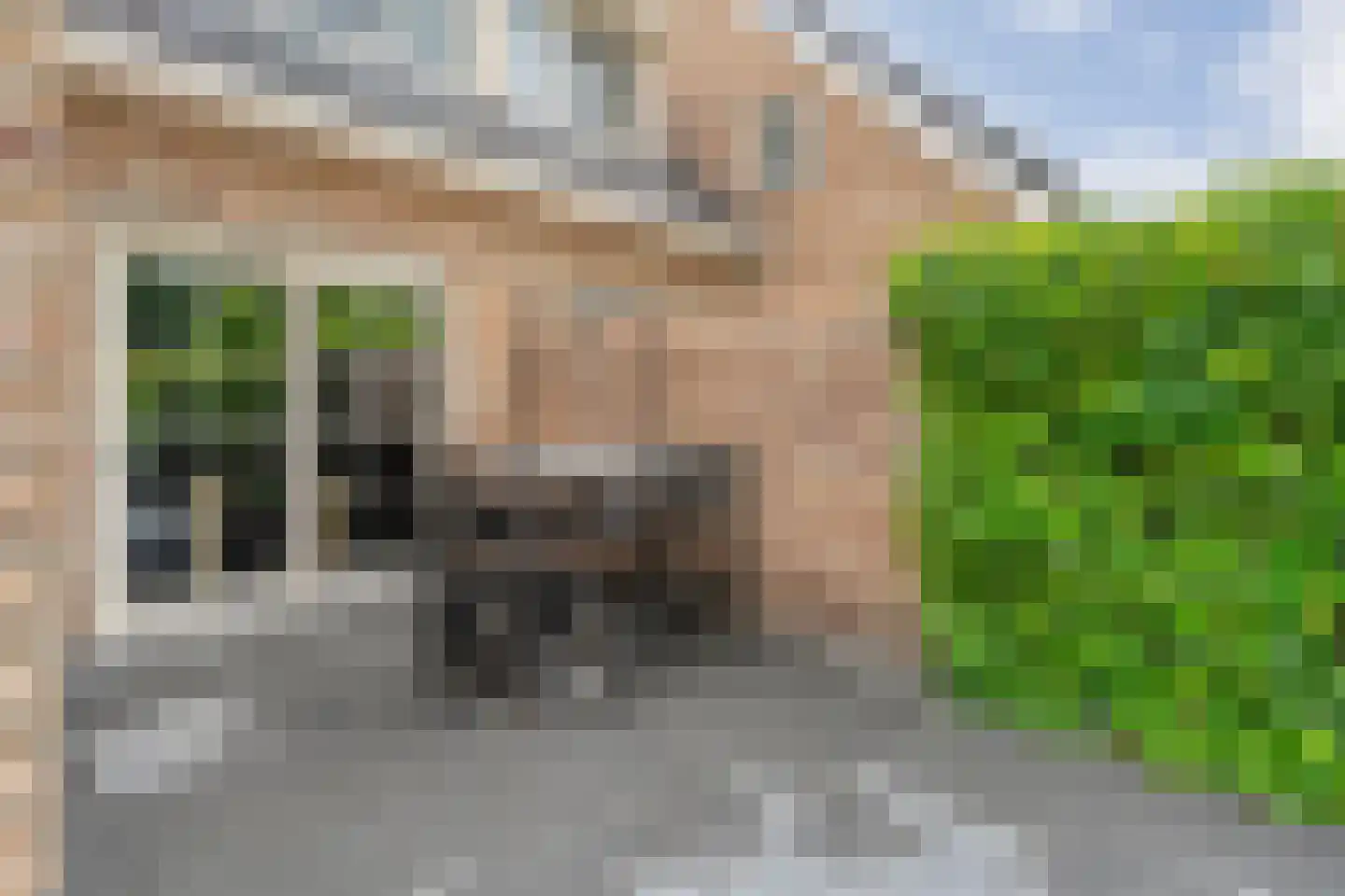 De Bolster 10 Hollandscheveld thumbnail 37