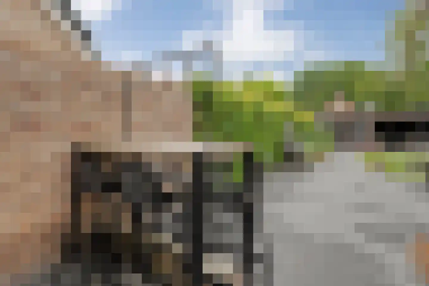 De Bolster 10 Hollandscheveld thumbnail 38