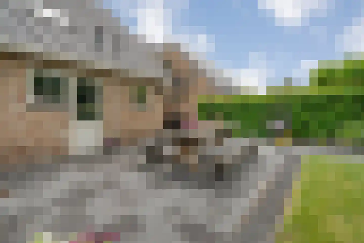 De Bolster 10 Hollandscheveld thumbnail 39