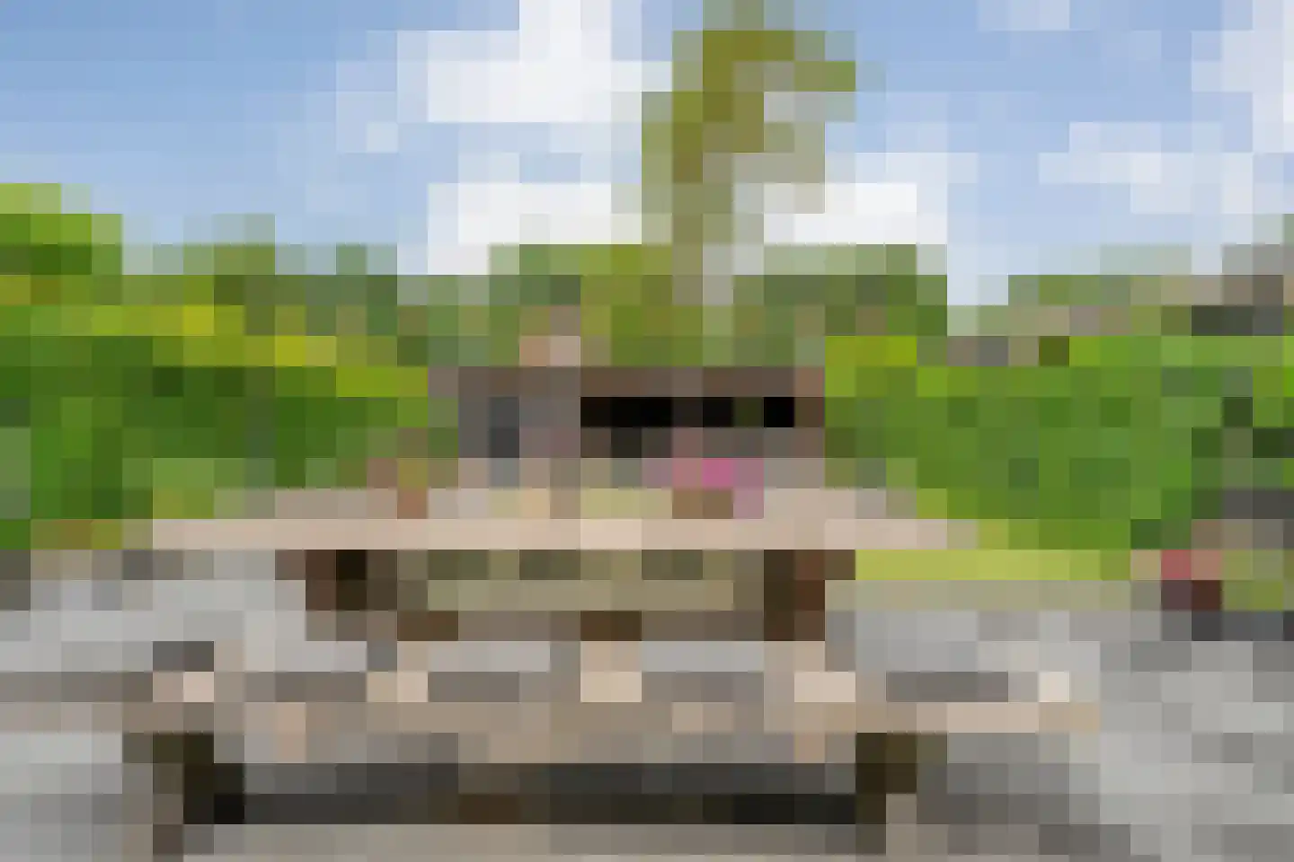 De Bolster 10 Hollandscheveld thumbnail 40
