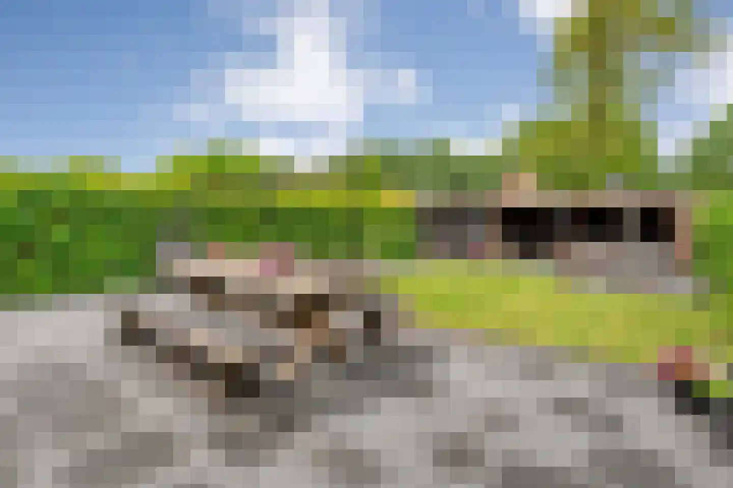 De Bolster 10 Hollandscheveld thumbnail 41